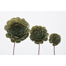 SOLA ROSE COLORS 4" (16" stem) Sage Green 